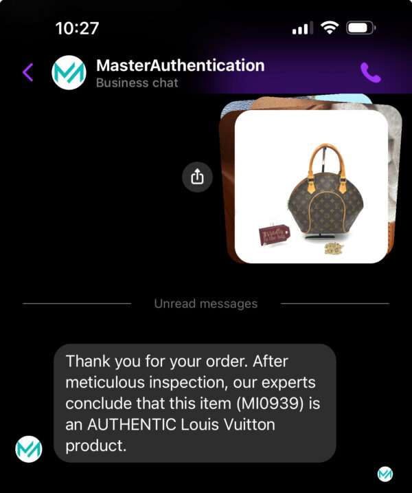 Authentic Louis Vuitton Ellipse PM with free gold generic crossbody chain included - Image 46