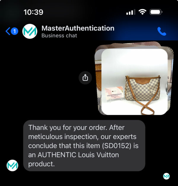 Authentic Louis Vuitton Siracusa PM crossbody - Image 48