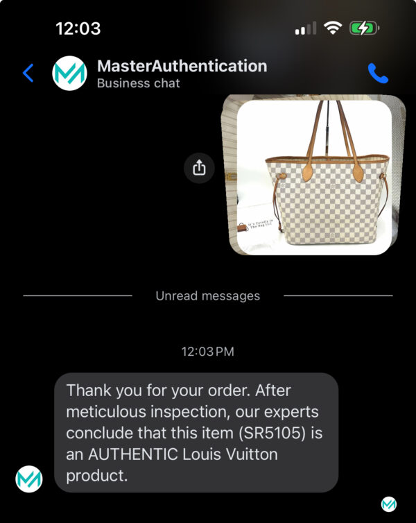 Authentic Newer Model Louis Vuitton Neverfull MM, Azur with NWT organizer included - Image 58