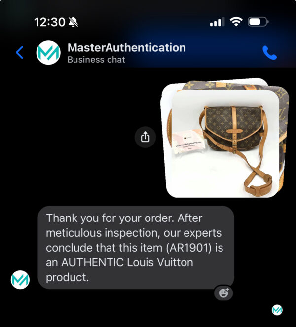 Authentic Louis Vuitton Saumur 30 - Image 56