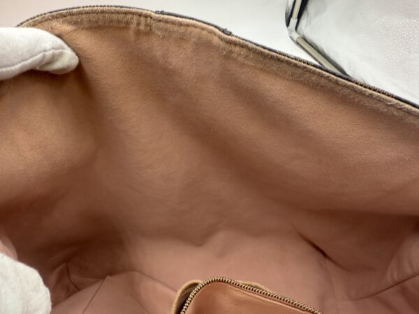 Authentic Louis Vuitton Caissa Hobo, Rose Ballerine, with LV keyring charm included - Image 55