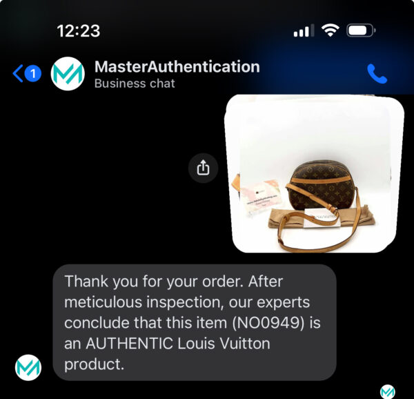 Authentic Louis Vuitton Blois Crossbody with LV dustbag included - Image 32