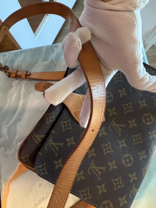 Authentic Louis Cartouchiere GM with LV dustbag included - Image 14