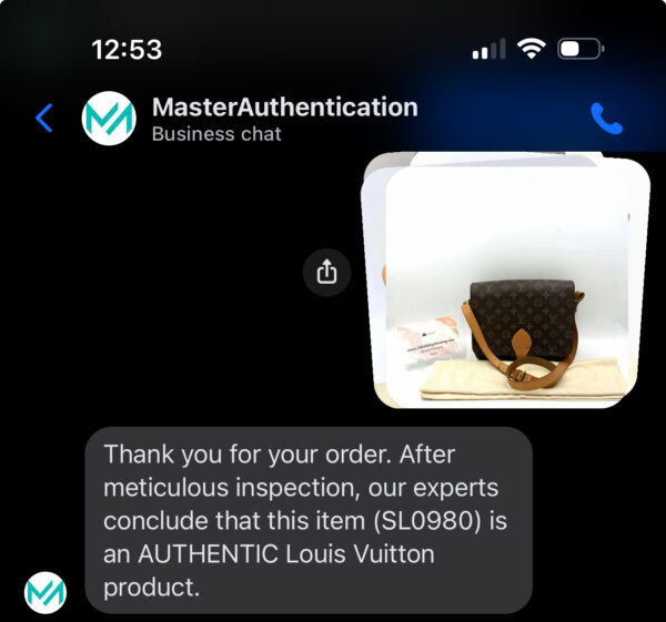 Authentic Louis Cartouchiere GM with LV dustbag included - Image 24