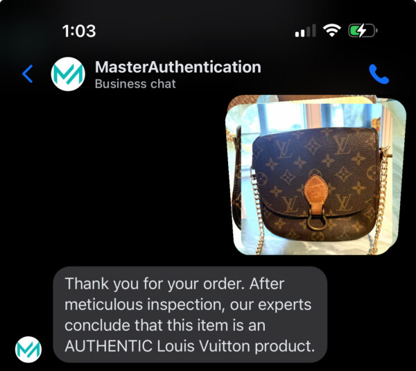 Authentic Vintage Louis Vuitton St Cloud PM with original strap removed and generic gold chain crossbody strap included - Image 20
