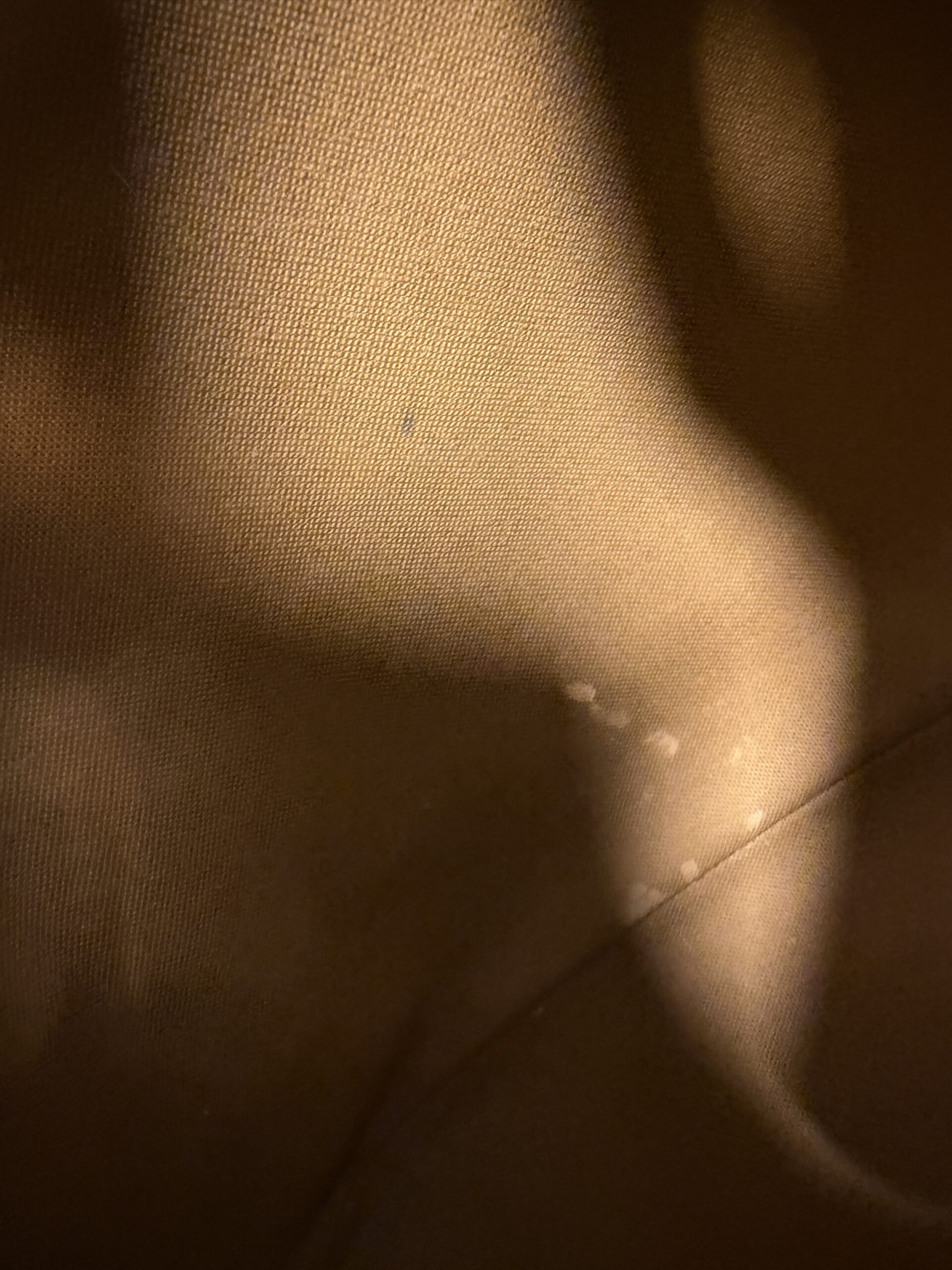 Authentic Louis Vuitton Montsouris GM Backpack - Image 38